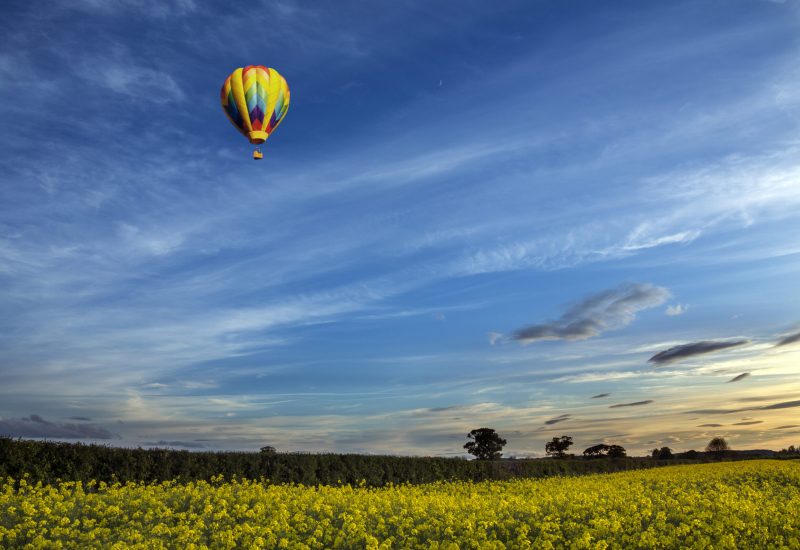 A hot air balloon drifting over the North Yorkshire countryside in the late afternoon sunshine.