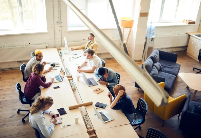 startup-scaleup